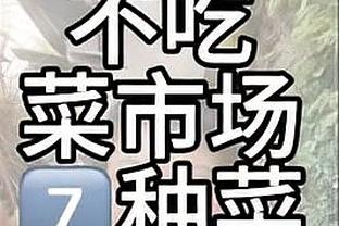 勒沃库森vs卡拉巴赫首发：药厂上演大轮换，伊格莱西亚斯首发